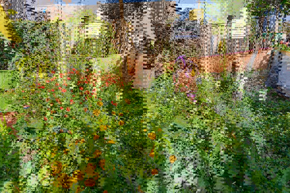 Community Garden Project Helps Residents Grow Their Own Fresh Produce